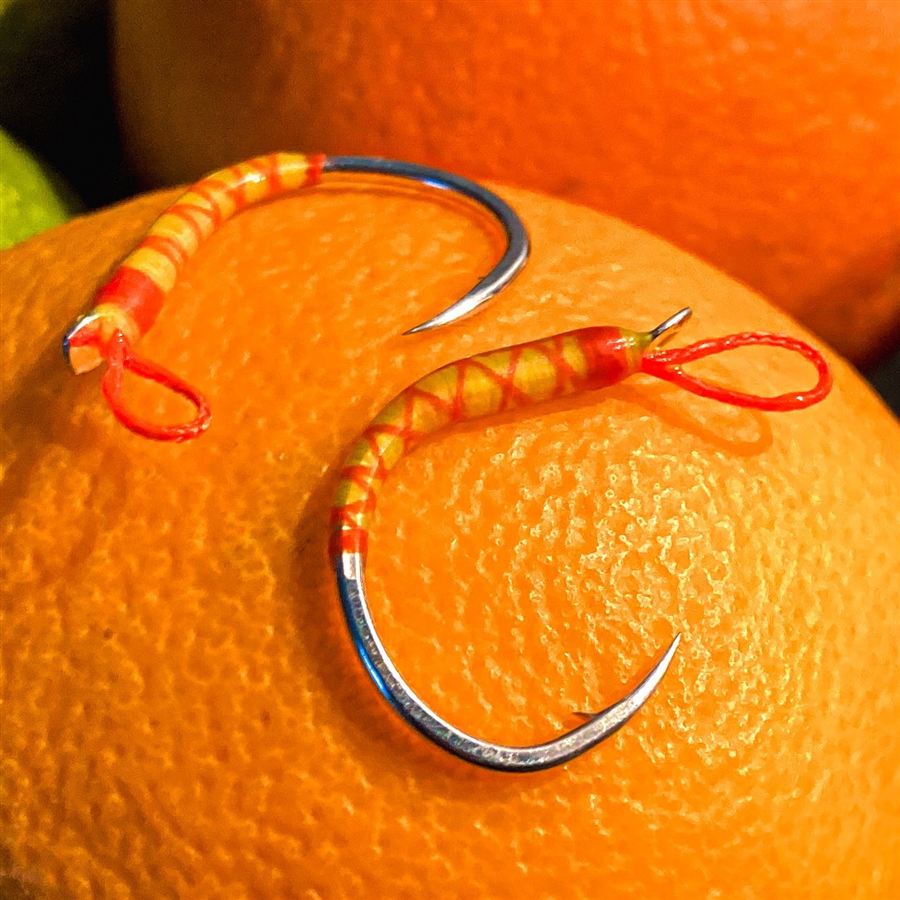 A6T orange posé sur une orange