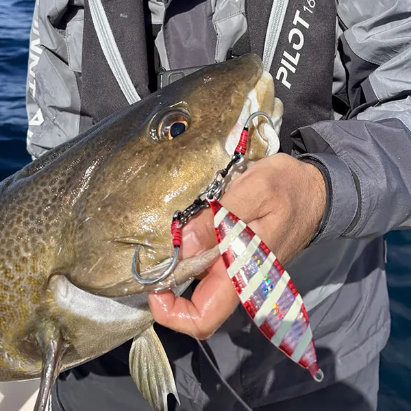 A6t' Big Game - Jig — photo 4