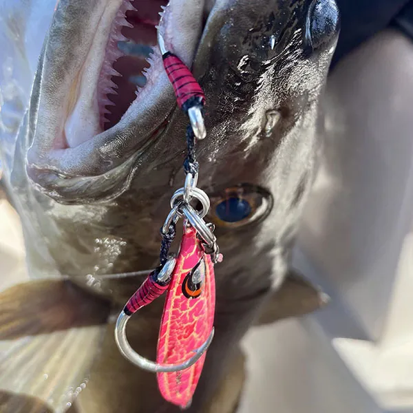 A6t' Big Game - Jig — photo 6